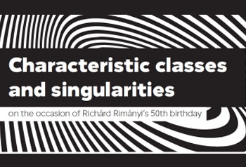 Characteristic Classes and Singularities