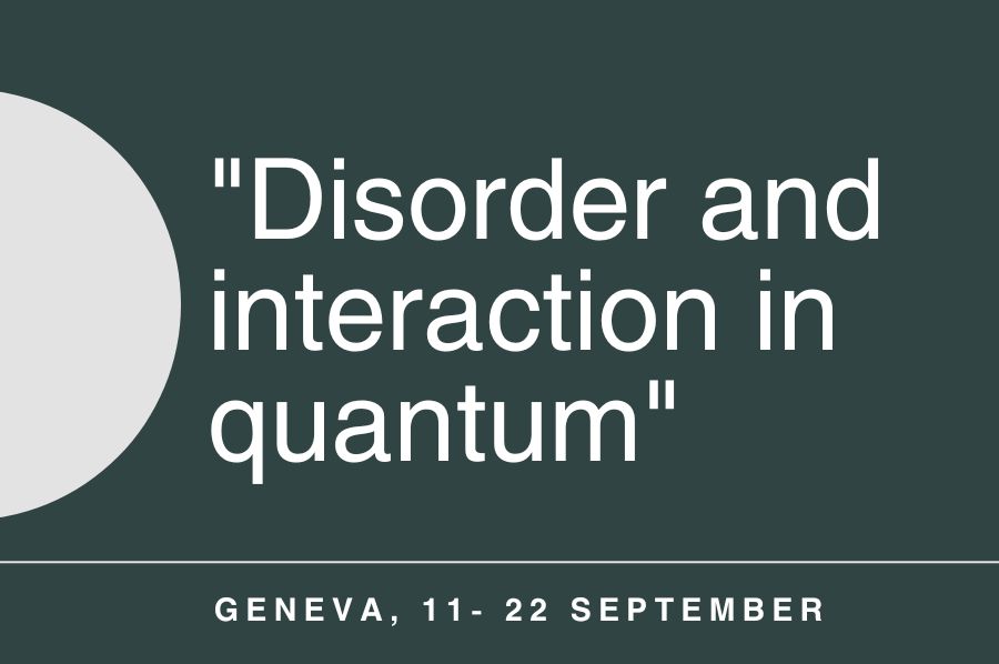"Disorder and interaction in quantum"