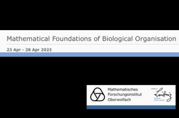 Mathematical Foundations of Biological Organisation (Oberwolfach 23-28 April)