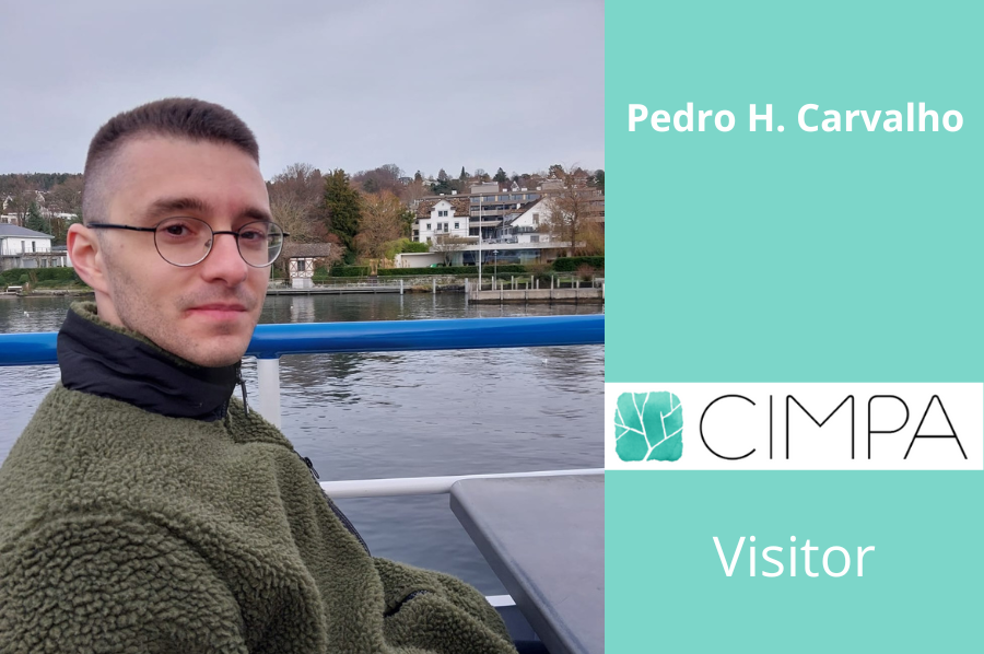 CIMPA visitor: Pedro H. Carvalho