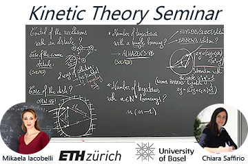 Next Kinetic Theory Seminar 29th Nov : Prof. Sergio Simonella (University of Roma La Sapienza)